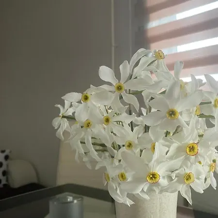 빌라 Ljubav Vera Nada *