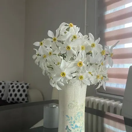 빌라 Ljubav Vera Nada 즐라티보